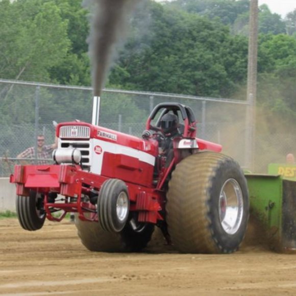 Meet your Posher, Britney - Picture 1 of 2